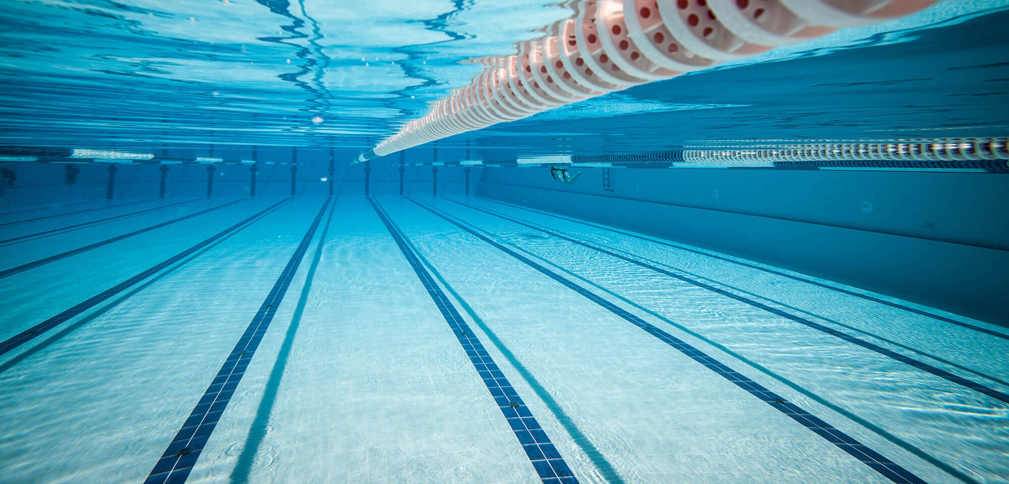 Swimming lessons NY for kids, adults and Swim Team NYC